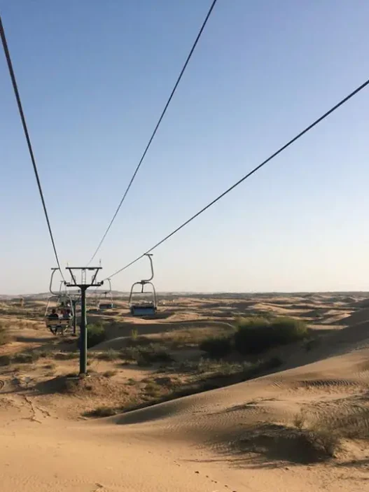 12116009 10206785745754223 4222766349550725678 n •