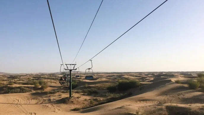 12116009 10206785745754223 4222766349550725678 n •