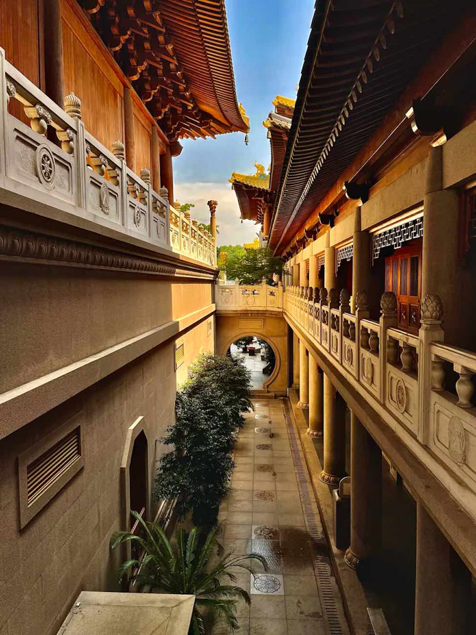 20 photos: you will not believe this is shanghai 16 Shanghai china city expat french concession area movingjack17 •