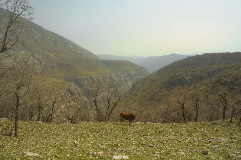 De majestueuze bergen en natuur van Koerdistan - wandelavontuur (Irak) 10 Koerdistan, wandelen in Koerdistan, wandelen in de bergen van Koerdistan, de natuur van Koerdistan Koerdistan bergen wandelen irak wilde natuur koerdische bergen barsan1 • koerdistan, wandelen in koerdistan, wandelen in de bergen van koerdistan, koerdistan natuur