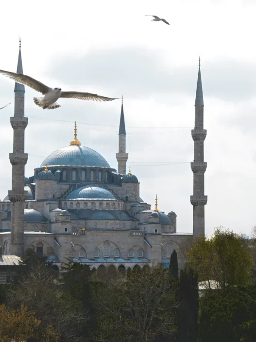 Bg 2blue mosque big mosque streets of istanbul whats istanbul famous for26 copyright moving jack • colorful houses in istanbul,colorful houses in balat istanbul,colorful houses in balat