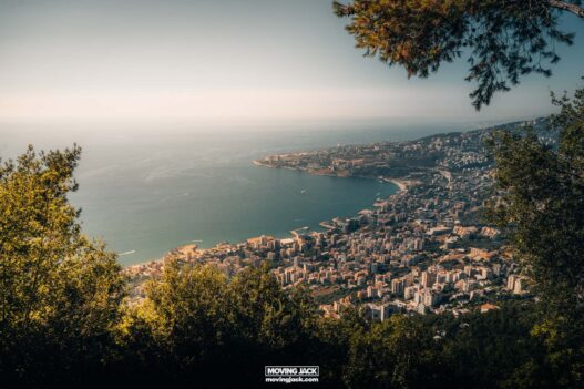 A view of a city from a hill overlooking the ocean.
