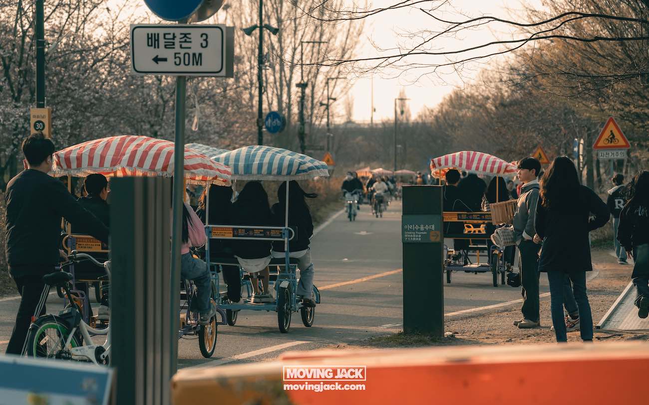31 best free & cheap things to do in seoul (by an expert) 43 free things to do in seoul People riding multi-person bikes with striped canopies on a tree-lined path, near a road sign pointing to exit 3, 50 meters away. -copyright-moving-jack. Com