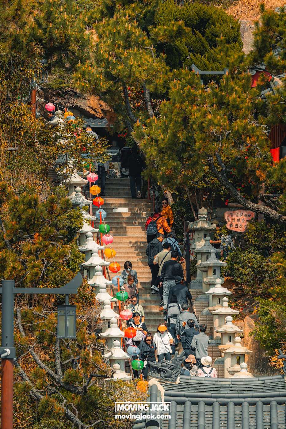 Gemakkelijk weekend in Busan met een peuter: 2-daagse reisroute voor gezinnen 28 Busan,weekend in Busan Een groep mensen loopt de stenen trappen op, omzoomd met kleurrijke lantaarns en bomen bij een tempel of heiligdom. -copyright-moving-jack.com