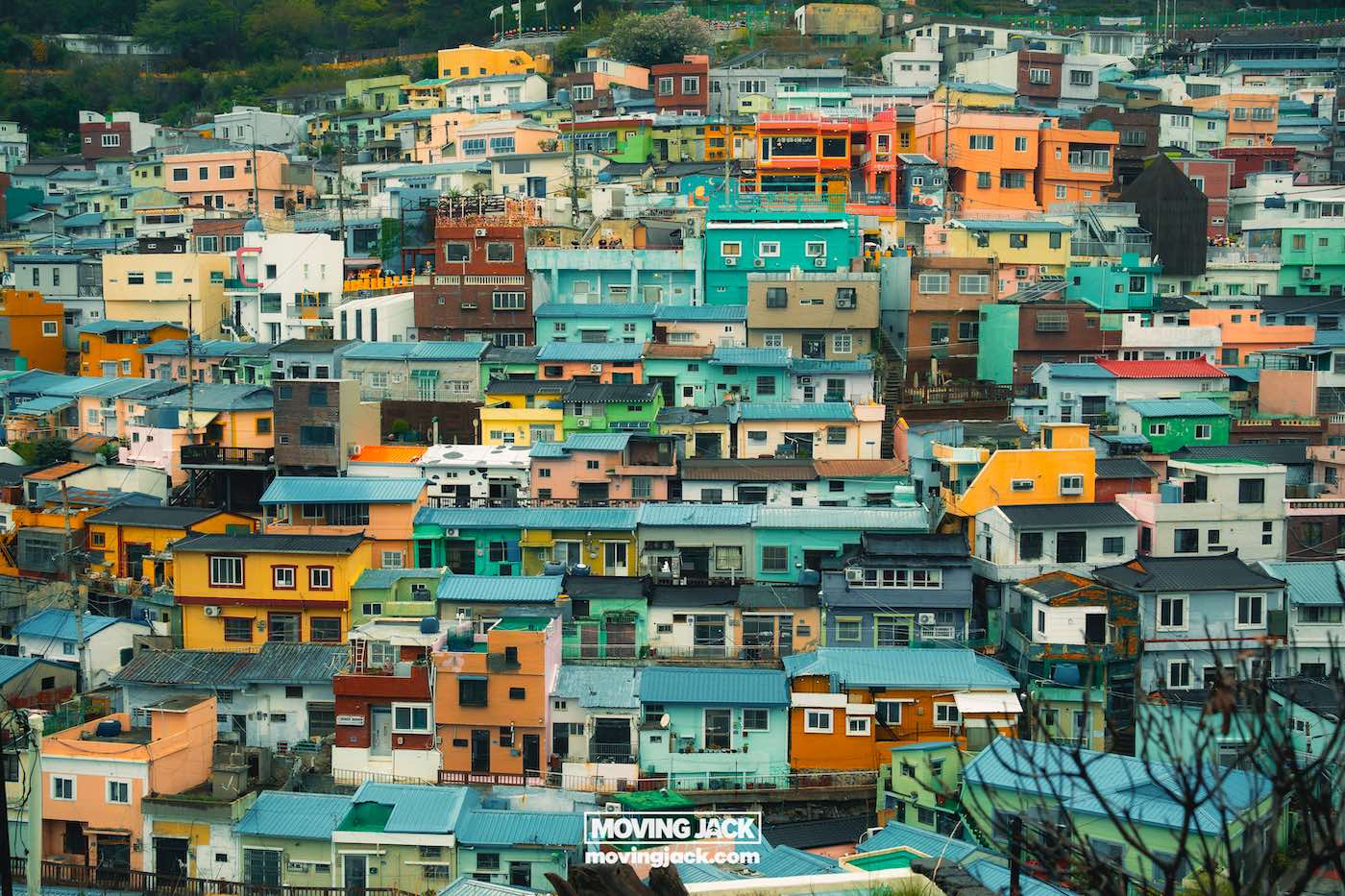 Tightly packed, colorful houses cover a hillside in an urban neighborhood. The buildings are various shades of blue, orange, green, yellow, and pink. -Copyright-moving-jack.com