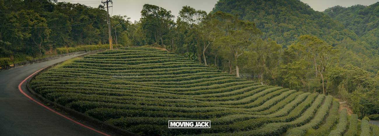 20+ best things to do in taipei (by an expert) 41 things to do in taipei A winding road curves next to lush, green terraced fields on a hillside, surrounded by dense forest and tall trees under a cloudy sky. "moving jack" is written at the bottom center of the image. -copyright-moving-jack. Com