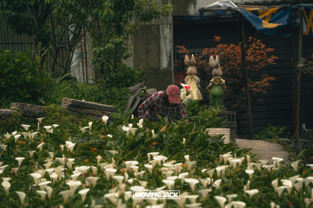 20+ best things to do in taipei (by an expert) 6 things to do in taipei A person in a red cap and plaid shirt bends over to tend to a field of white flowers, with two large rabbit statues and a wooden building in the background. -copyright-moving-jack. Com