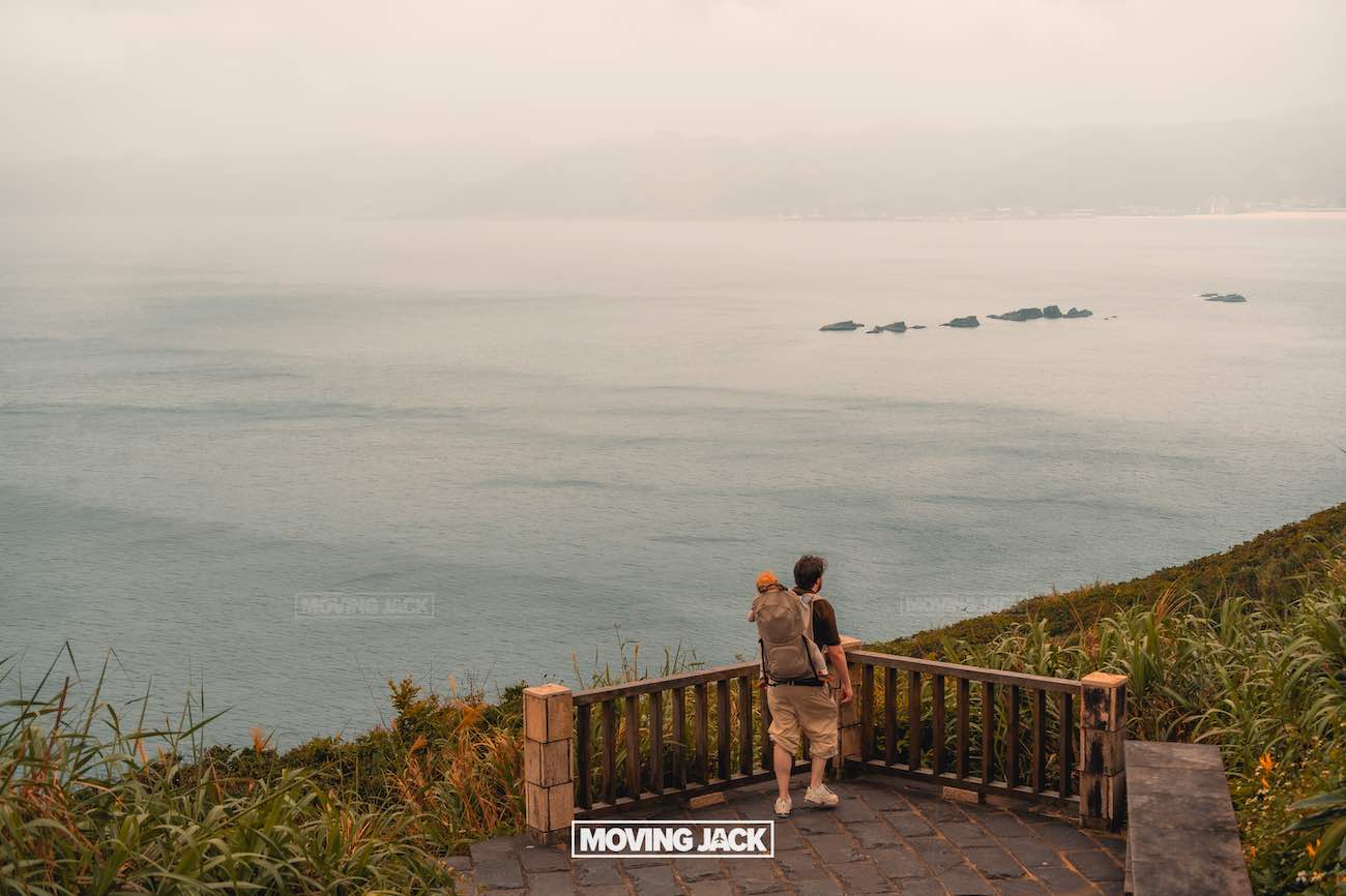 20+ best things to do in taipei (by an expert) 40 things to do in taipei A person with a dog stands on a wooden viewing platform overlooking a calm, expansive body of water, surrounded by green hills and partly cloudy skies—capturing the serenity often found in the top things to do in taipei. -copyright-moving-jack. Com