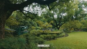 22 beste dingen om te doen in de Franse Concessie