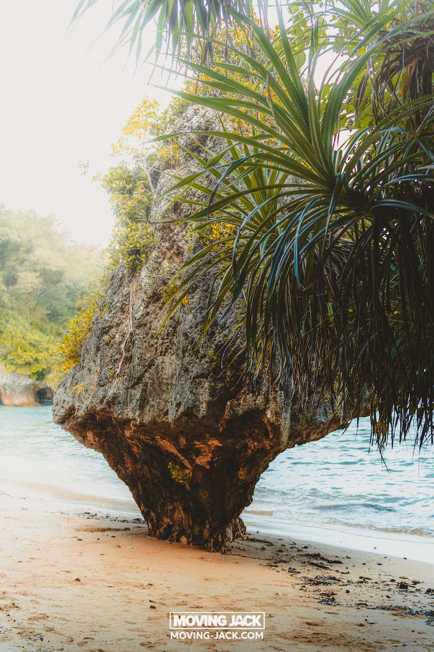 Een grote, uniek gevormde rots ligt op een zandstrand aan de oceaan, omringd door groene tropische planten en bomen – een idyllisch tafereel dat doet denken aan de beste stranden die Okinawa te bieden heeft. Een watermerk met de tekst "moving jack" verschijnt middenonder op de afbeelding. -copyright-moving-jack.com