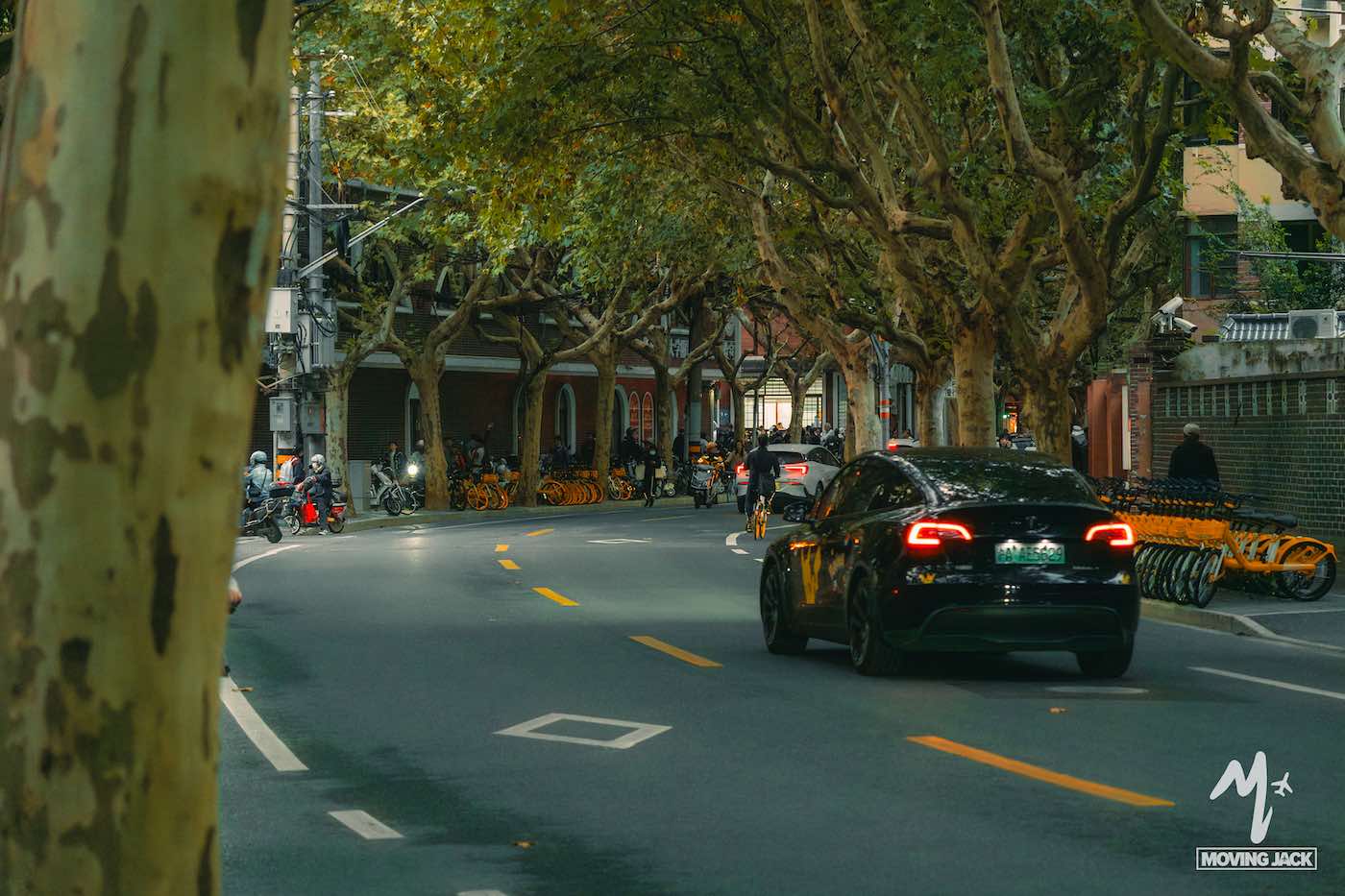 Een zwarte auto rijdt door een met bomen omzoomde stadsstraat, waar het zonlicht gefilterd door de bomen valt. Langs de stoep zijn mensen en fietsen te zien, en langs de weg staan oranje huurfietsen geparkeerd. De scène voelt rustig en stedelijk aan. -Copyright-moving-jack.com