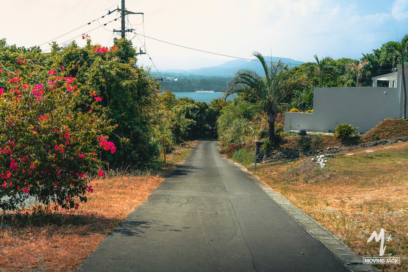 Een geplaveide weg loopt bergafwaarts, omzoomd door bomen, roze bloeiende struiken en moderne huizen, en leidt naar een wateroppervlak in de verte met bergen op de achtergrond onder een gedeeltelijk bewolkte hemel. -copyright-moving-jack.com