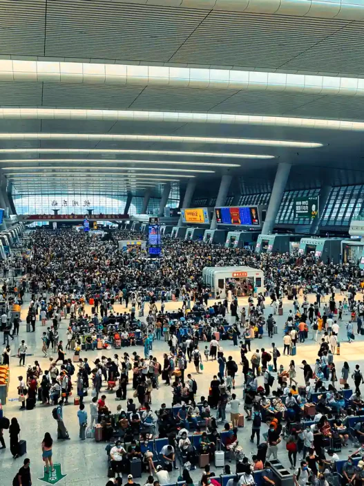 14 expert tips for staying safe while traveling in a new country 31 travelling with cats Busy trainstation china movingjack movingjack • travelling with cats