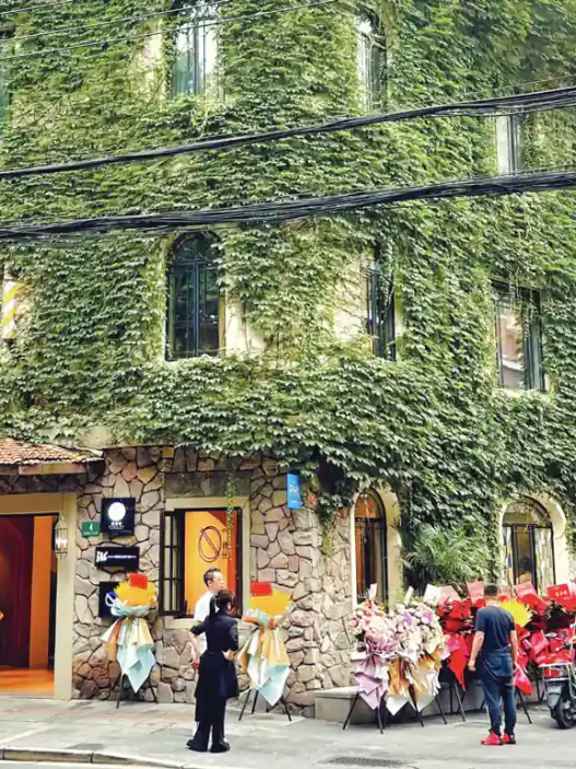Living in shanghai as an expat 29 avatar mountains Shopping street shanghai french concession 5 movingjack thumb • avatar mountains