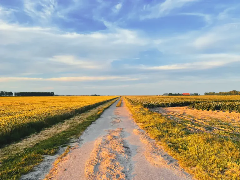 20 foto's: prachtige luchten in nederland (zeeland) 5 prachtige luchten in nederland Lucht zeeland nederland paars blauw mooi 11 movingjack • prachtige luchten in nederland